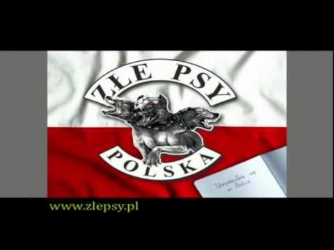 Złe Psy – Polska
