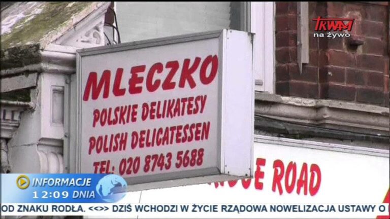 Kłamstwa o polskich emigrantach nt. zapomóg