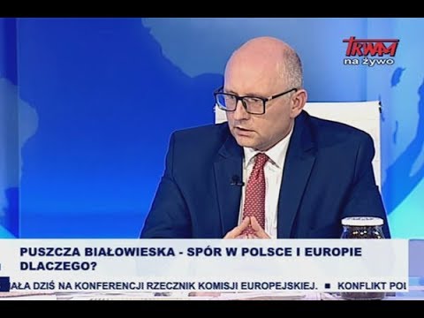 Puszcza Białowieska – spór w Polsce i Europie. Dlaczego?