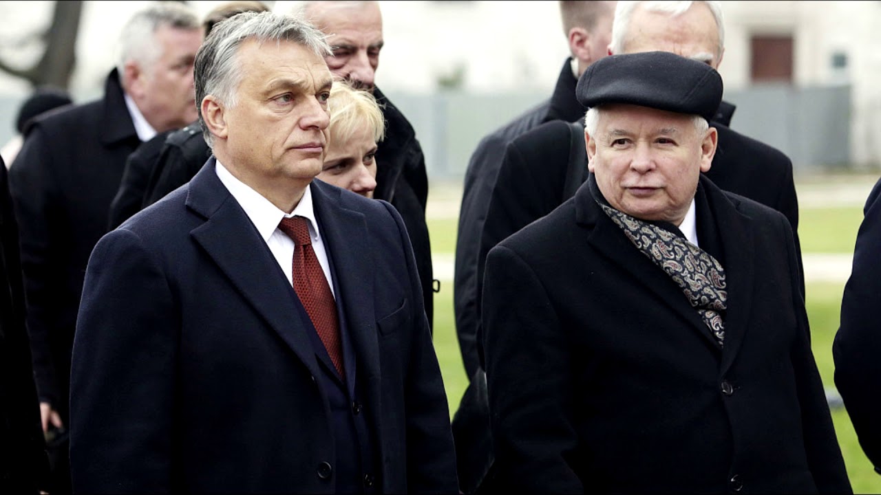 Czy Orban zdradzi Kaczora-Dyktatora?