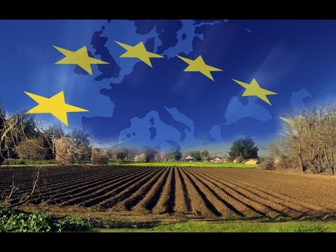 Kto chce zniszczyć polskie rolnictwo?