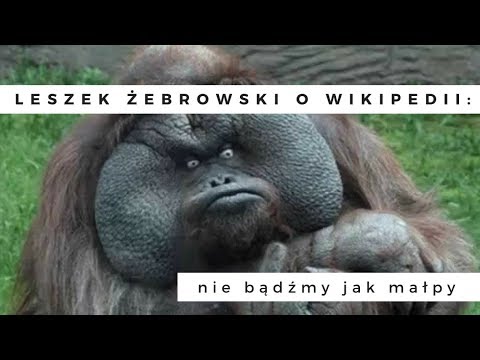 Leszek Żebrowski – Internetowa encyklopedia, narzędzie ideologicznej indoktrynacji!