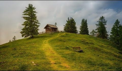 A Tobie z czym kojarzy się „schronisko”?
