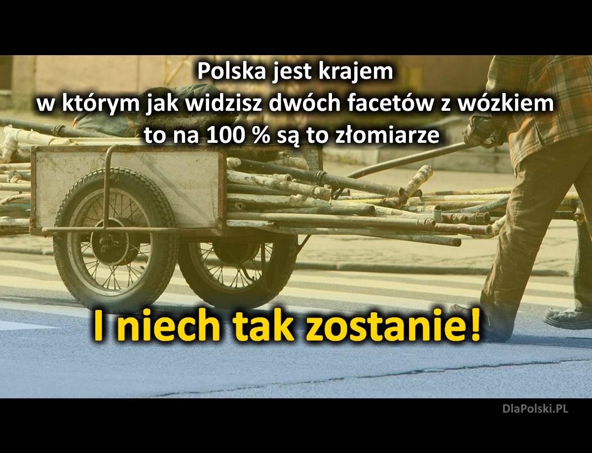 Dwóch mężczyzn z wózkiem… Polska wersja!