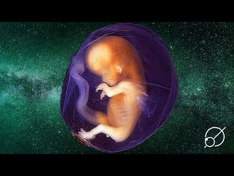Ciąża w kosmosie? A jednak nie!