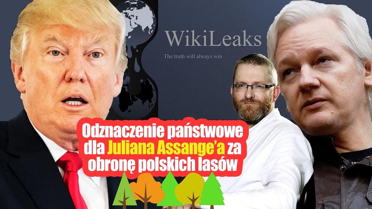 Odznaczenie państwowe dla Juliana Assange’a za obronę polskich lasów