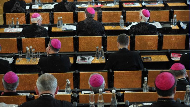 Polscy biskupi i ideologia. Kontrowersji jest coraz więcej