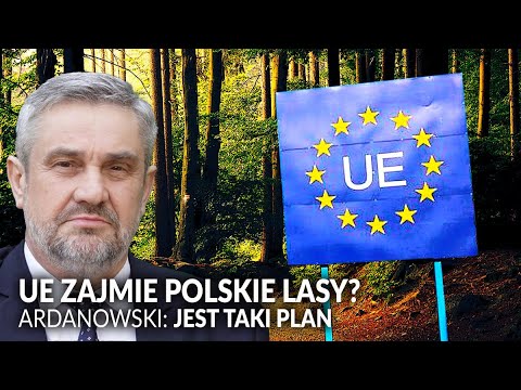 Bruksela przejmie władzę nad polskim lasami?