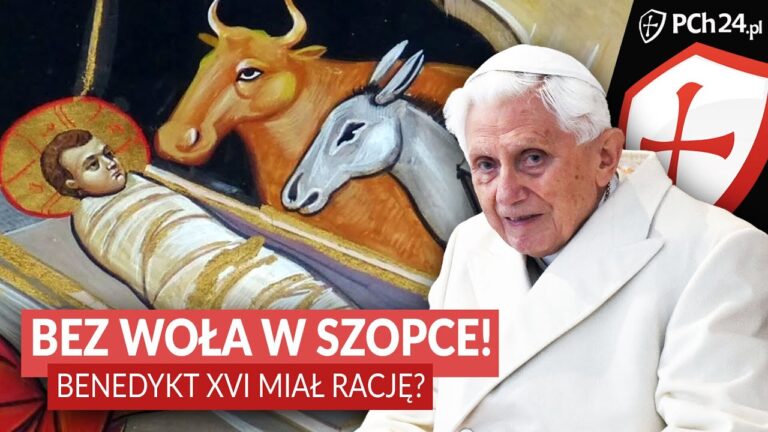 Bez woła w Szopce! Czy Benedykt XVI na pewno miał rację?