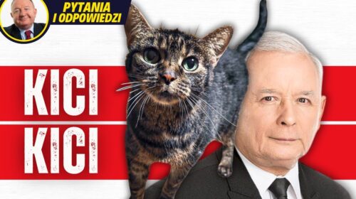 Głosowałbym nawet na kota Jarosława Kaczyńskiego, żeby nie dopuścić do monopolu Volksdeutsche Partei