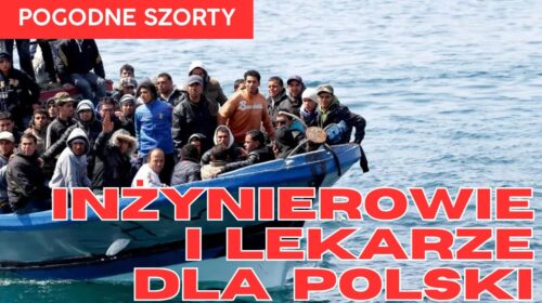 Inżynierowie i lekarze dla… Polski?