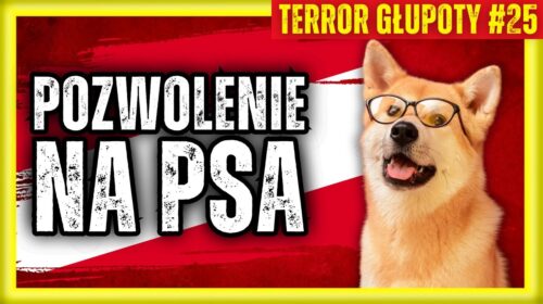 Zezwolenie na posiadanie psa i zakaz grillowania