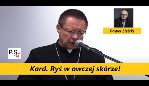 Kard. Ryś w owczej skórze!
