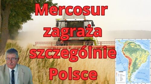 Dlaczego Mercosur ugodzi boleśnie głównie Polskę?