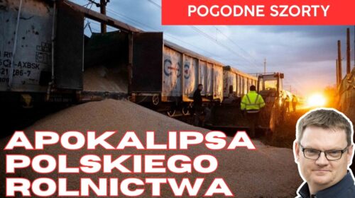 Mercosur i Ukraina – jeźdźcy apokalipsy dla polskiego rolnika i Twojego zdrowia