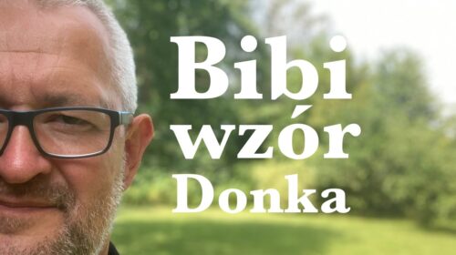 Bibi, wzór dla Donka