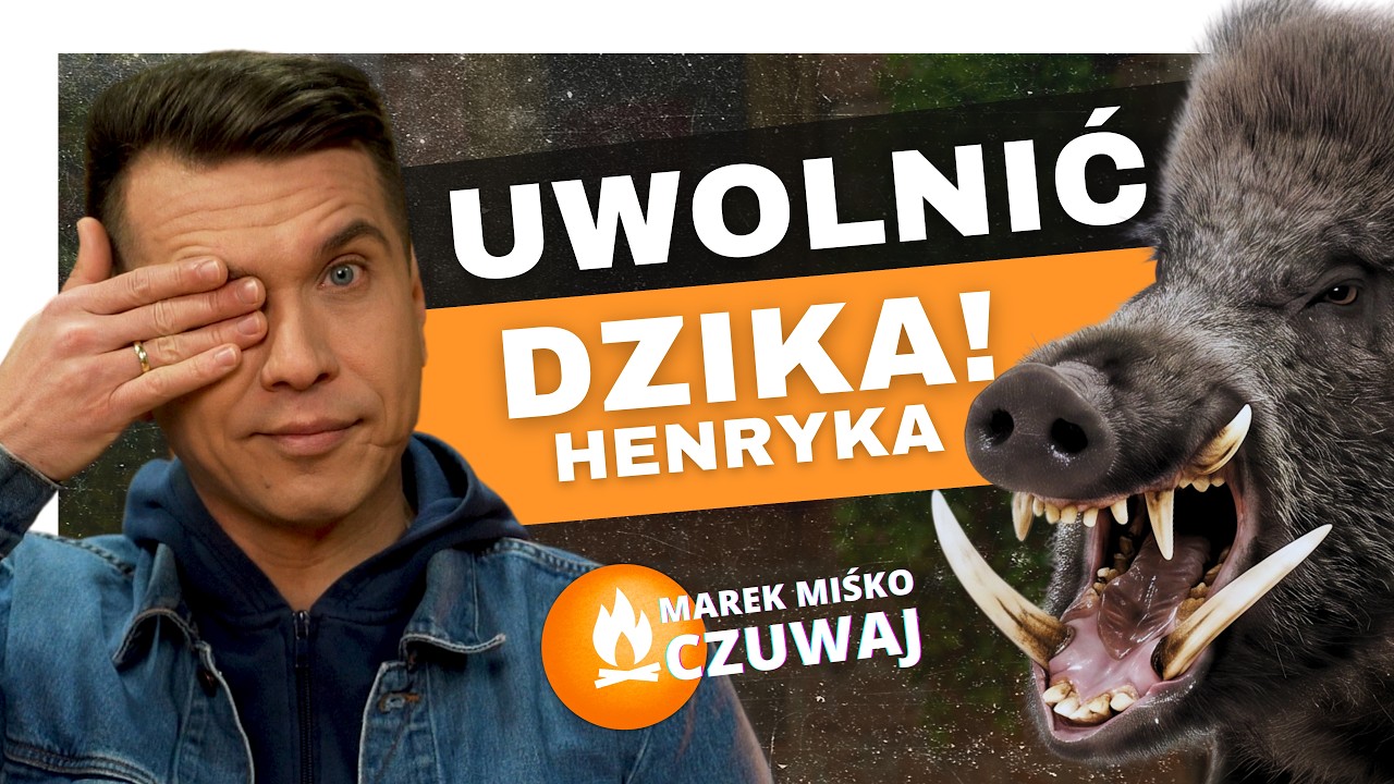 Dzik Henio to nie pluszowa zabawka